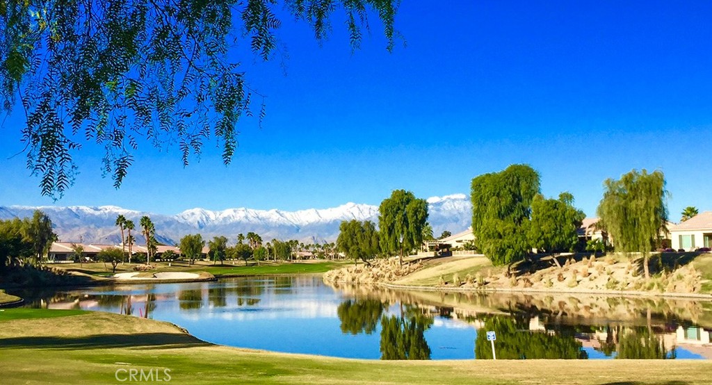 81693 Avenida Sombra