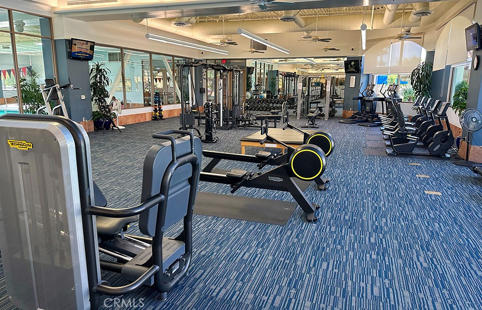 81693 Avenida Sombra