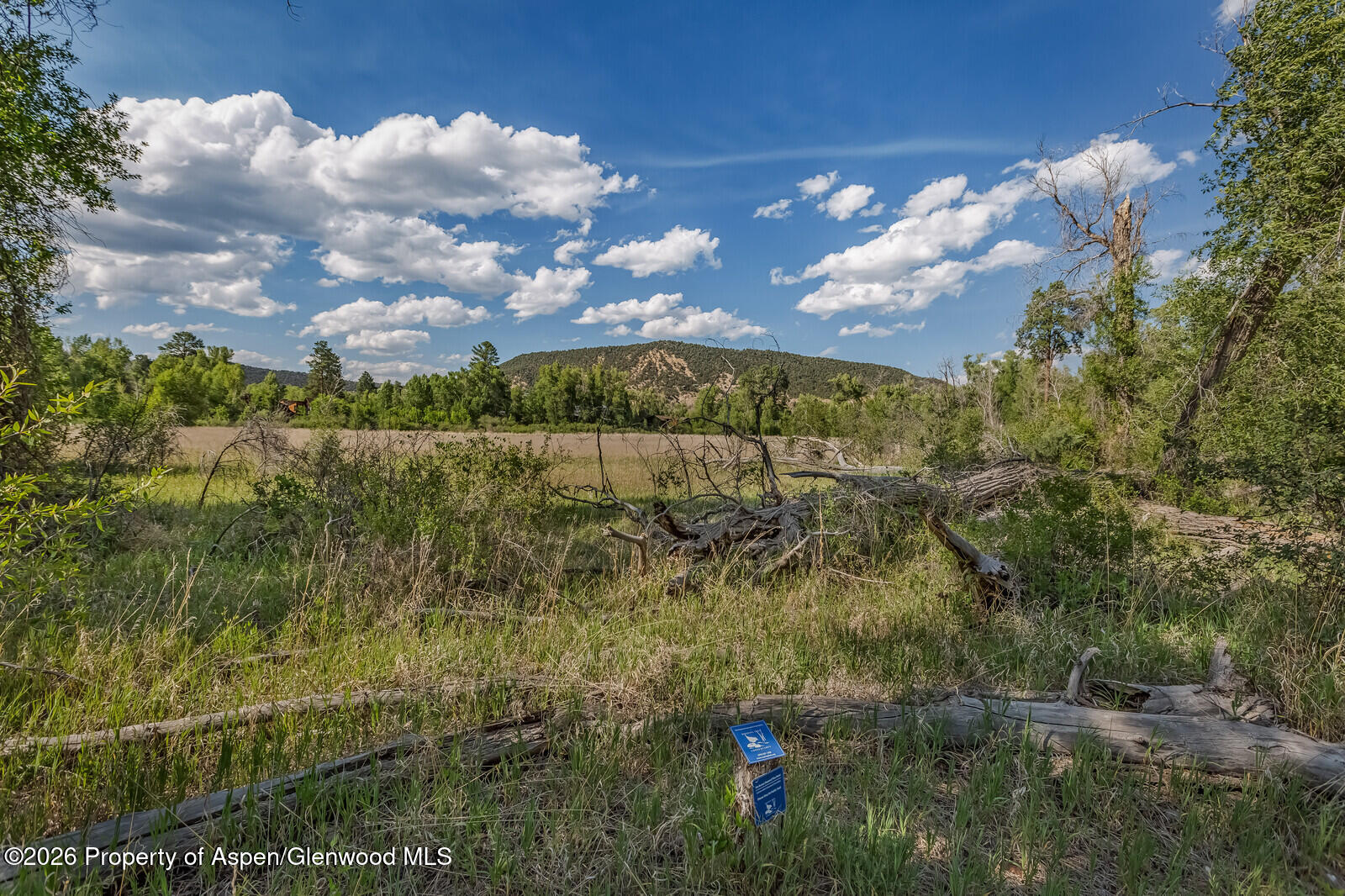 11 Pinon Lane
