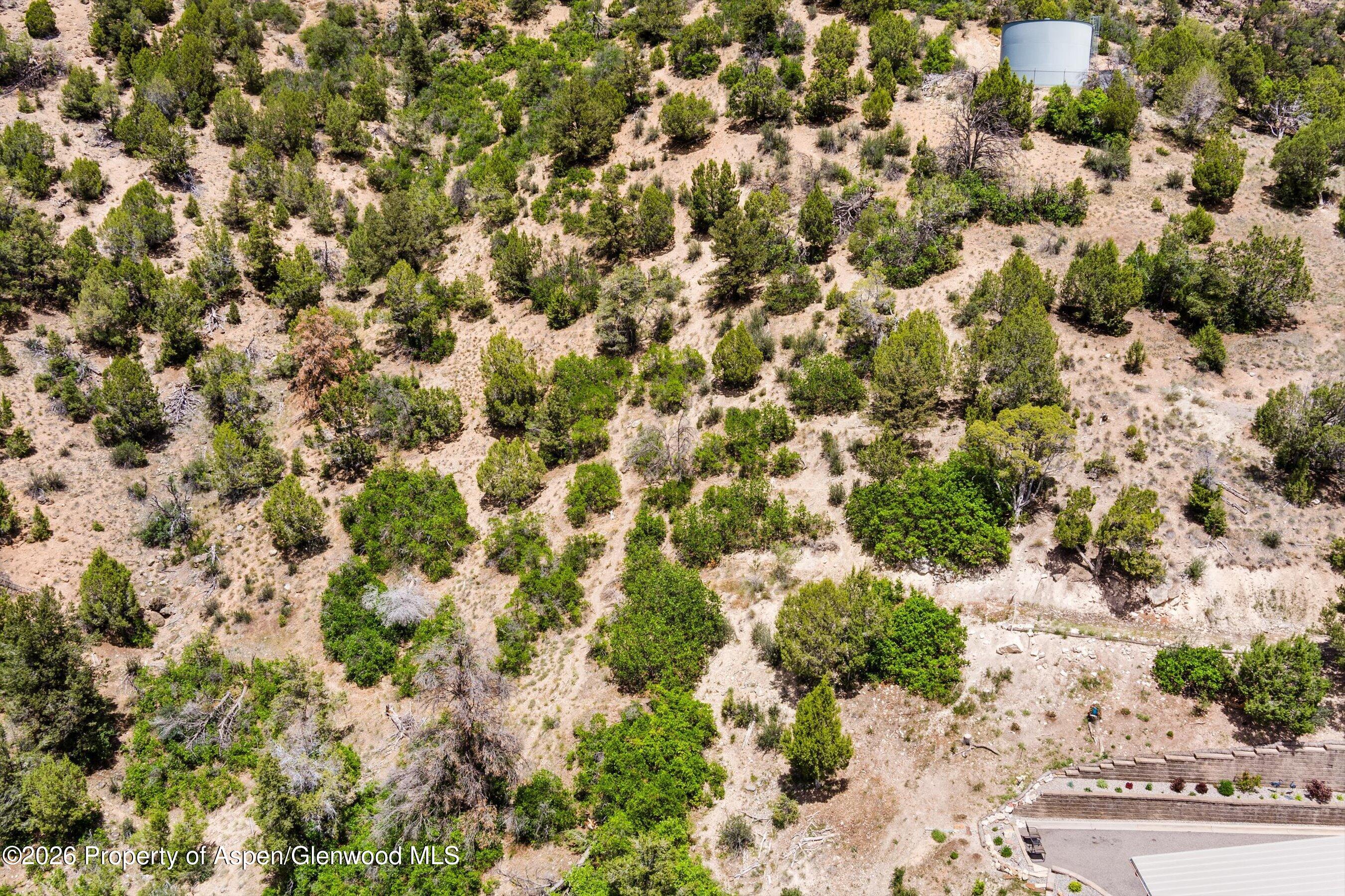 718 Silver Oak Drive