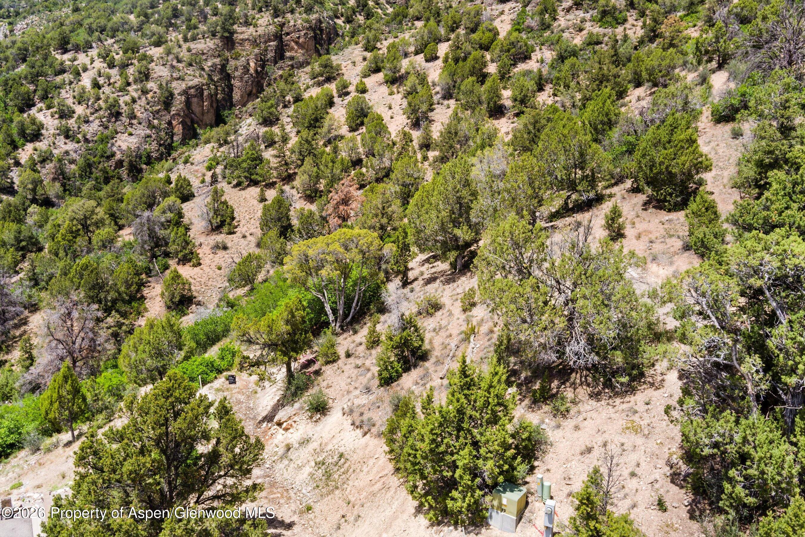 718 Silver Oak Drive