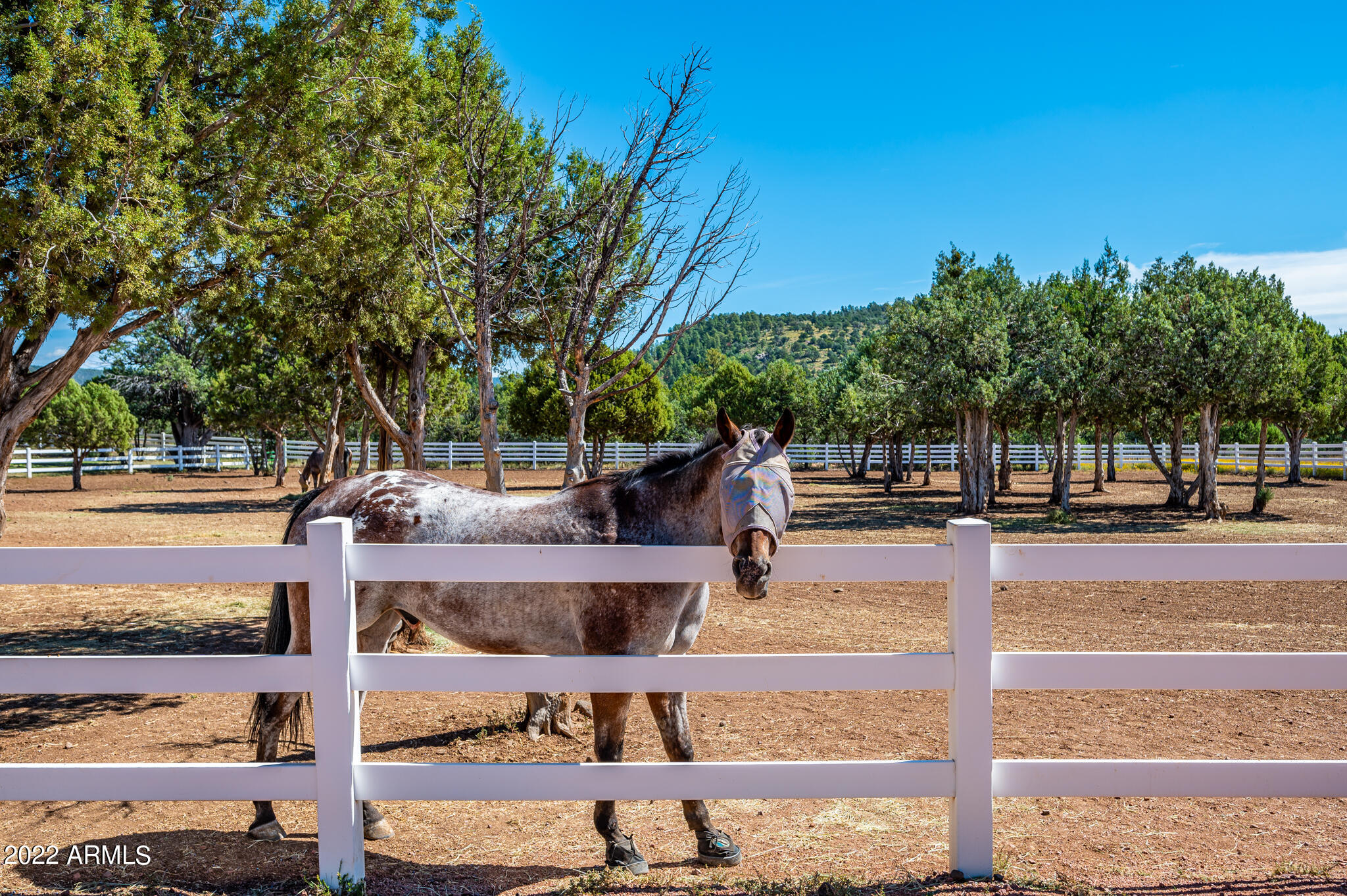 10491 W FOSSIL CREEK Road