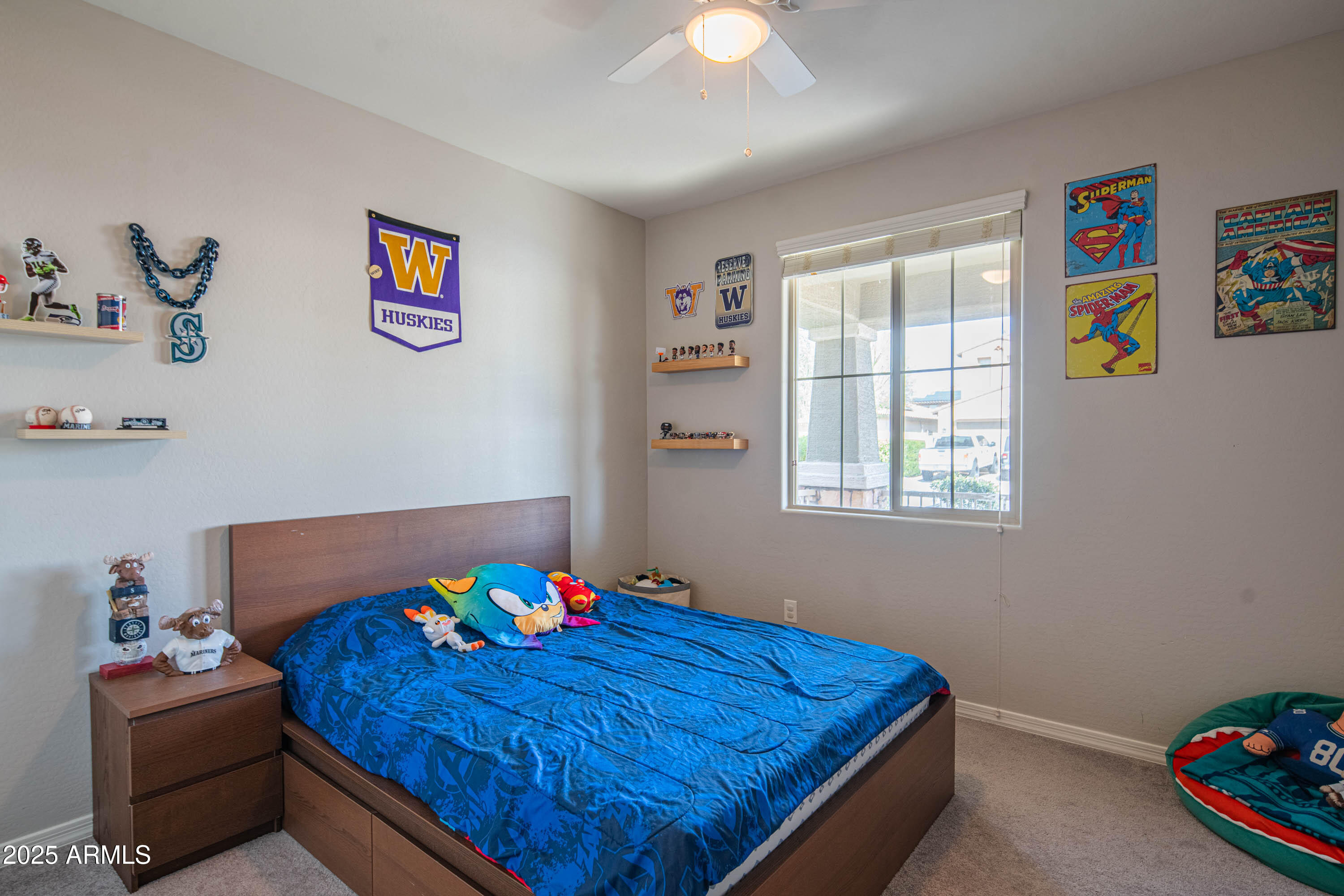 18187 W VIA MONTOYA Drive