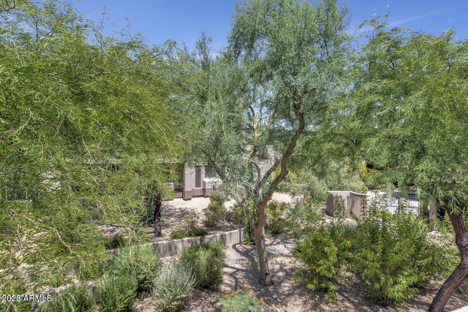 20802 N GRAYHAWK Drive 1123