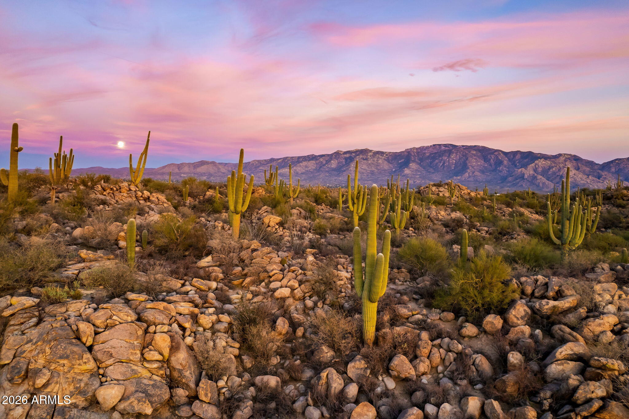 1313 W TORTOLITA MOUNTAIN Circle