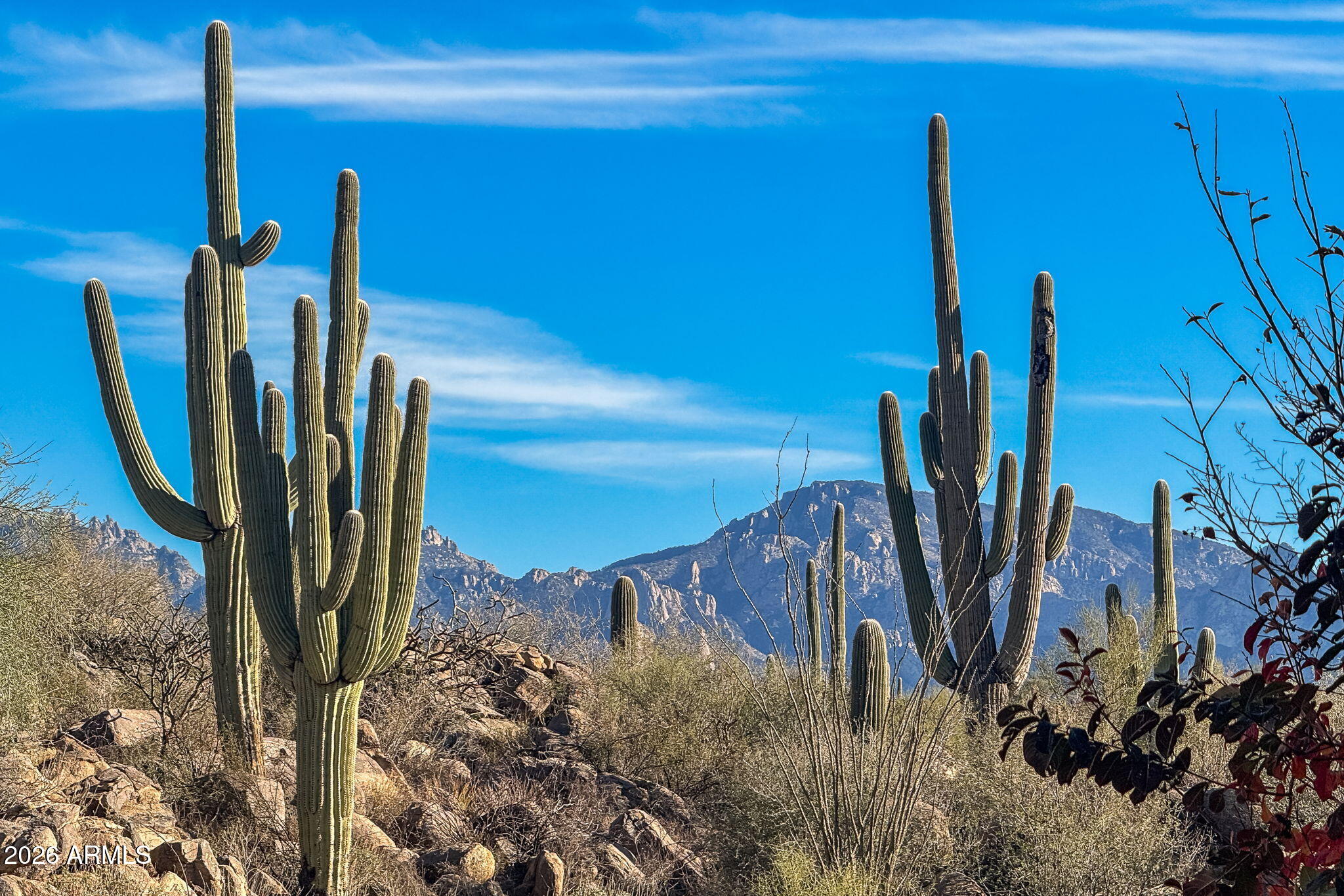 1313 W TORTOLITA MOUNTAIN Circle