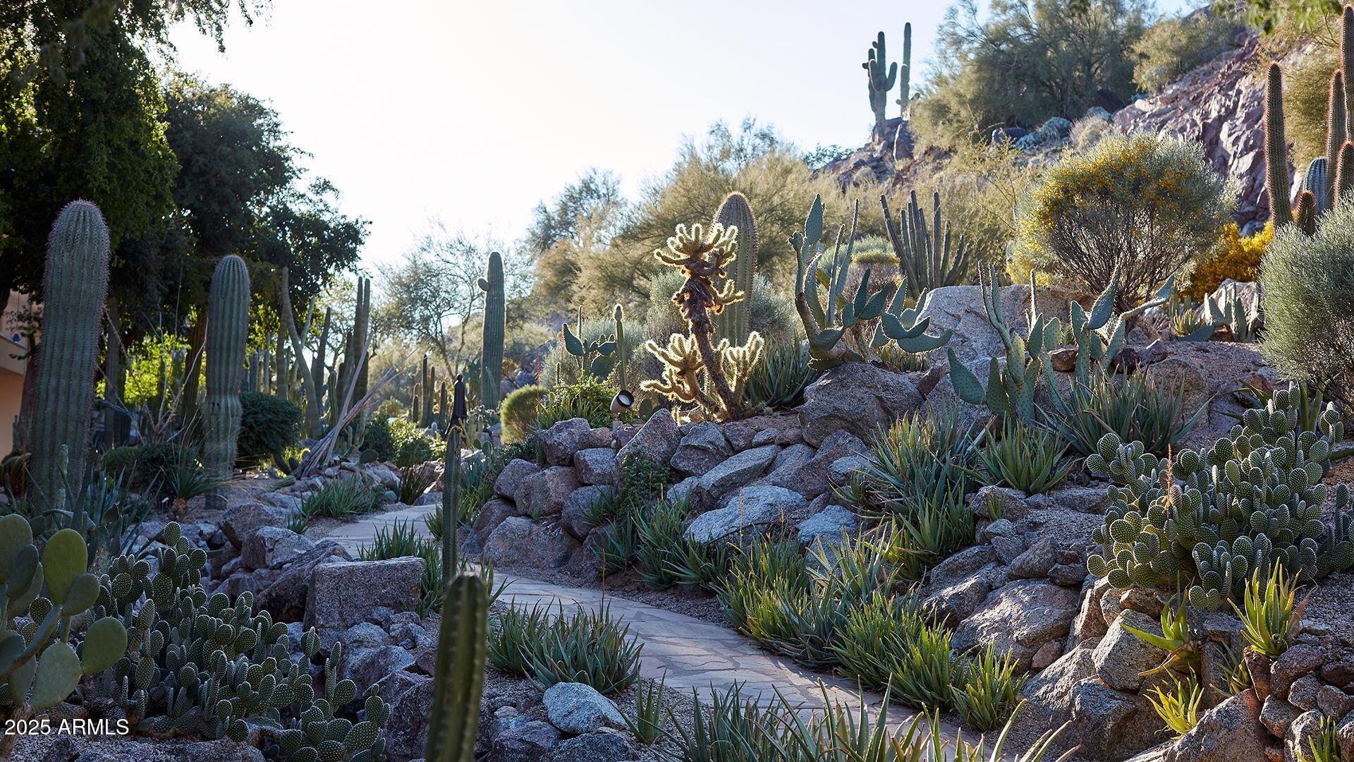 4849 N CAMELBACK RIDGE Drive A309