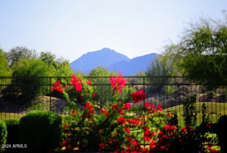 6738 E Montreal Place