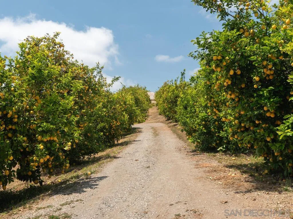 12040 Sierra Rojo Rd