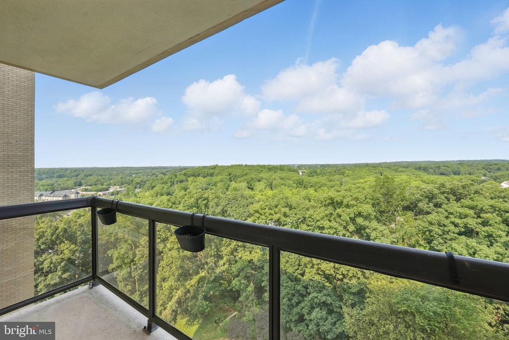 309 YOAKUM PARKWAY Unit: 1411