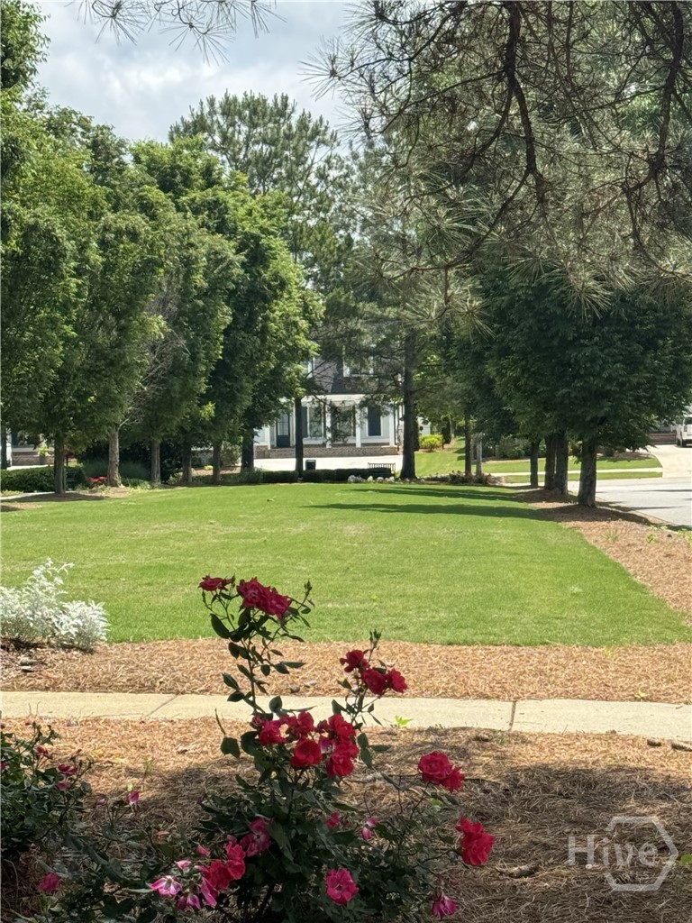 2030 Greenleffe Drive