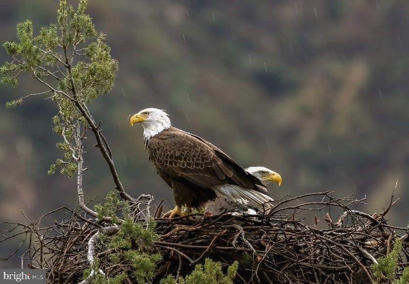 614 GRAYSTONES JERAS RD LOT HV-1