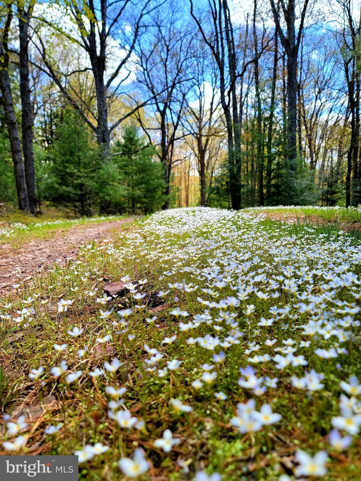 614 GRAYSTONES JERAS RD LOT P-4