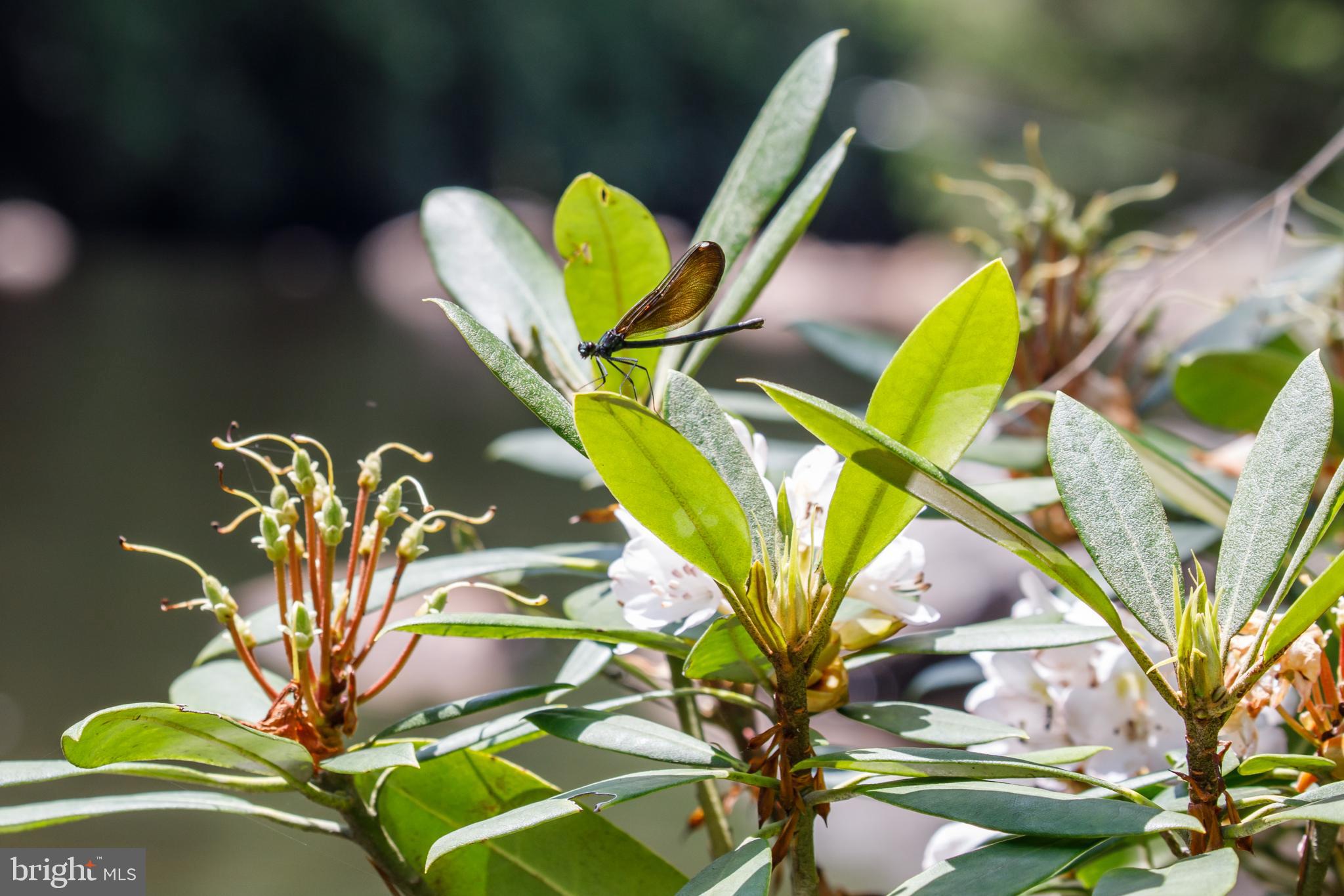 614 GRAYSTONES JERAS RD LOT R-8