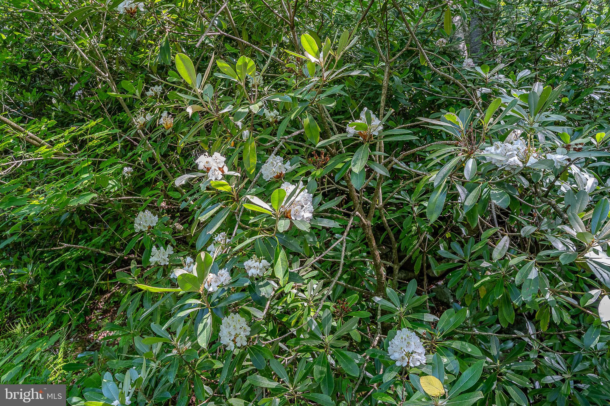 614 GRAYSTONES JERAS RD LOT R-8