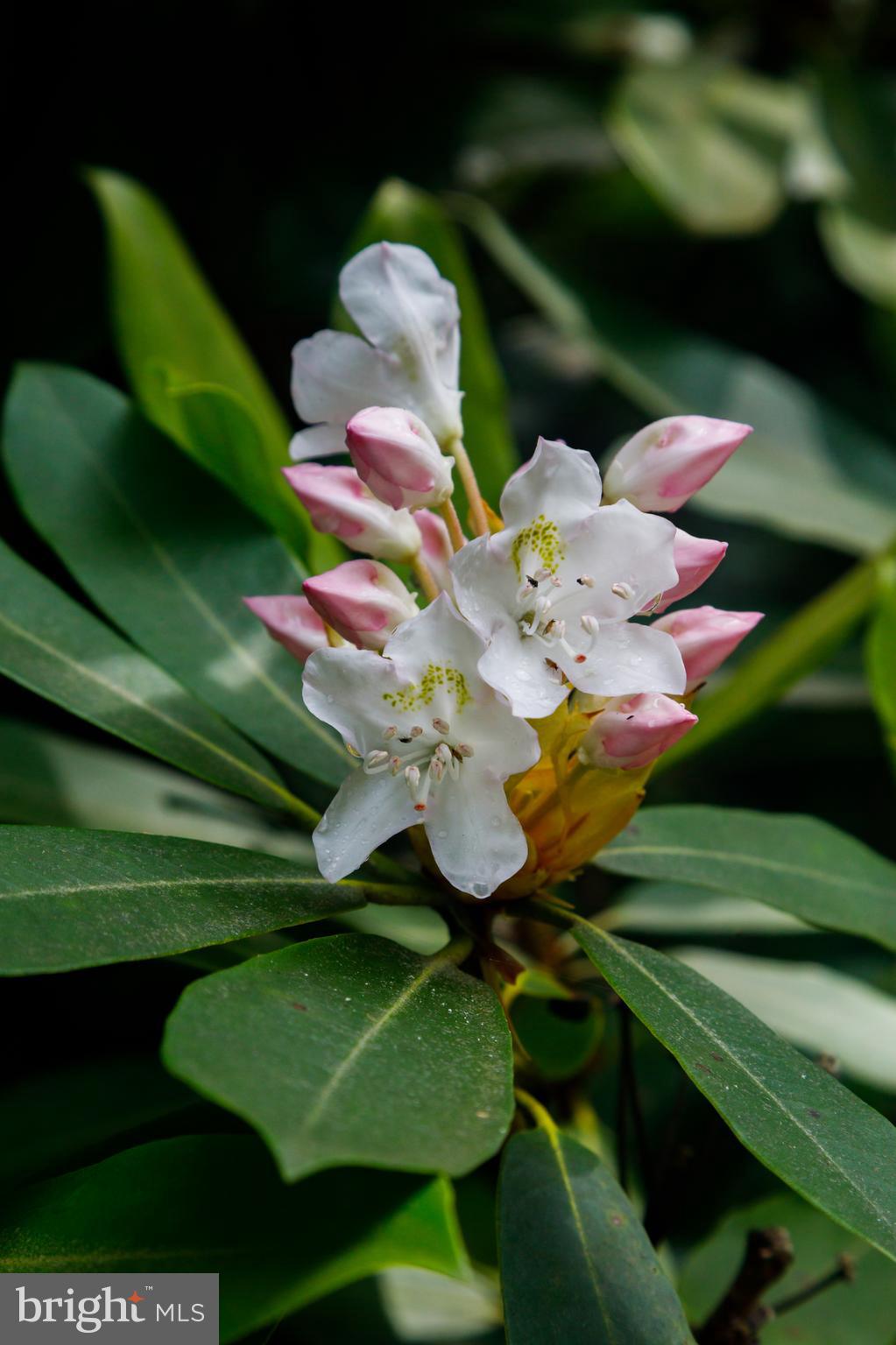 614 GRAYSTONES JERAS RD LOT R-8