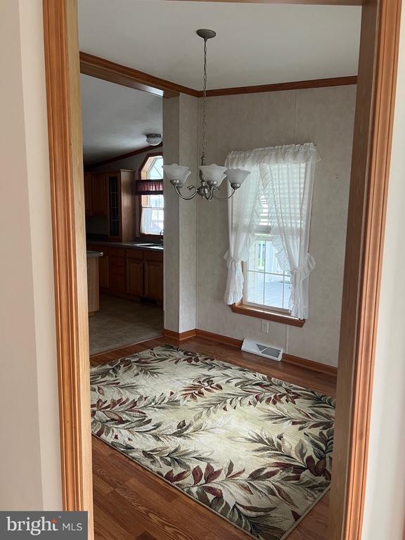 311 Buttonwood