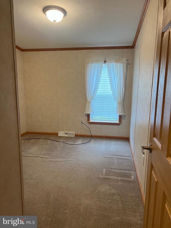 311 Buttonwood