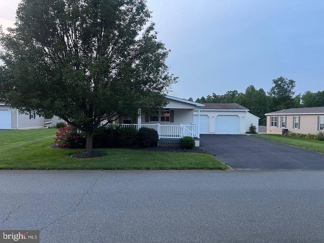 311 Buttonwood