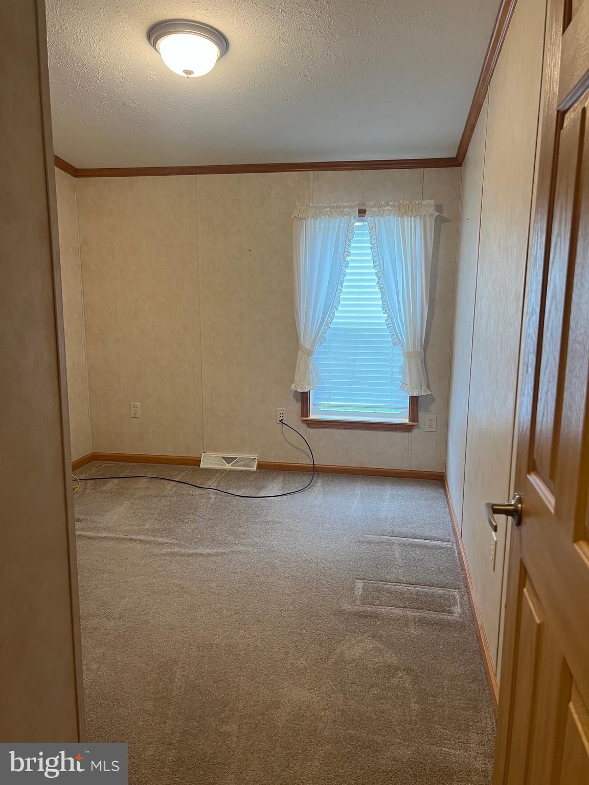 311 Buttonwood