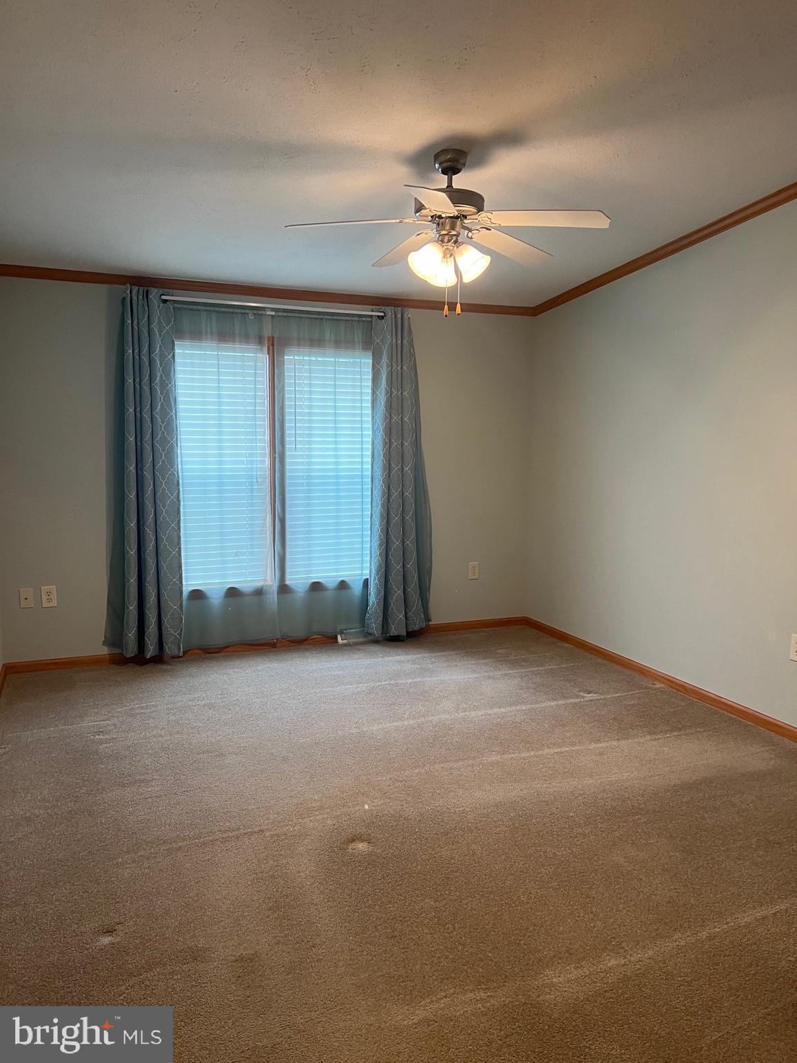 311 Buttonwood