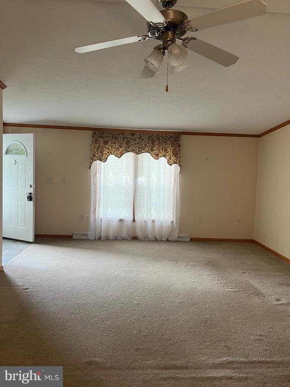 311 Buttonwood
