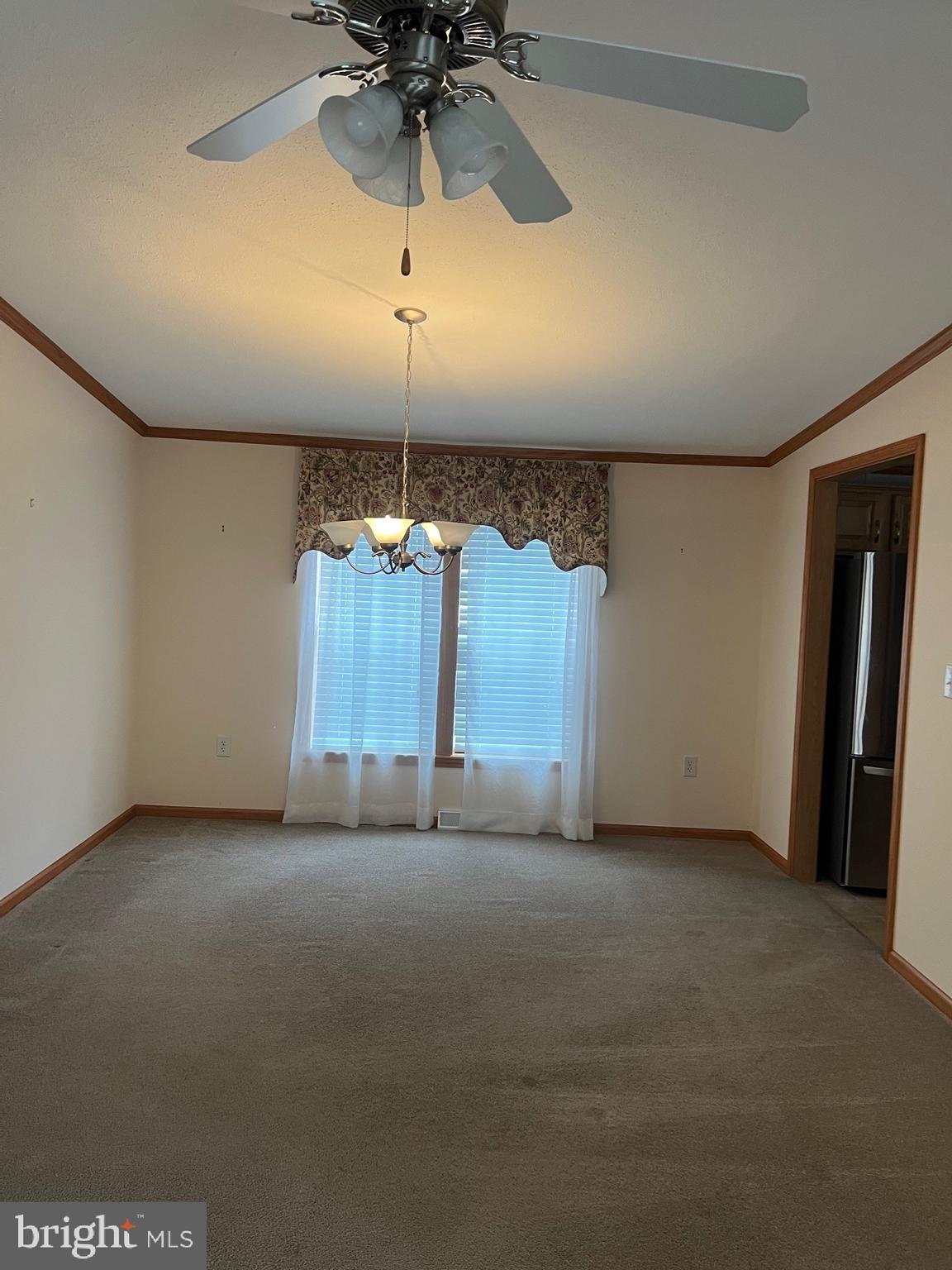 311 Buttonwood