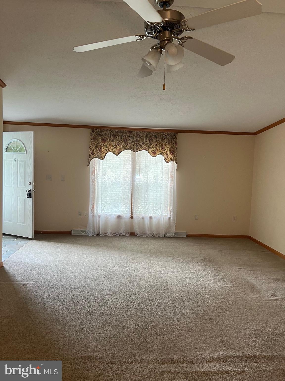 311 Buttonwood