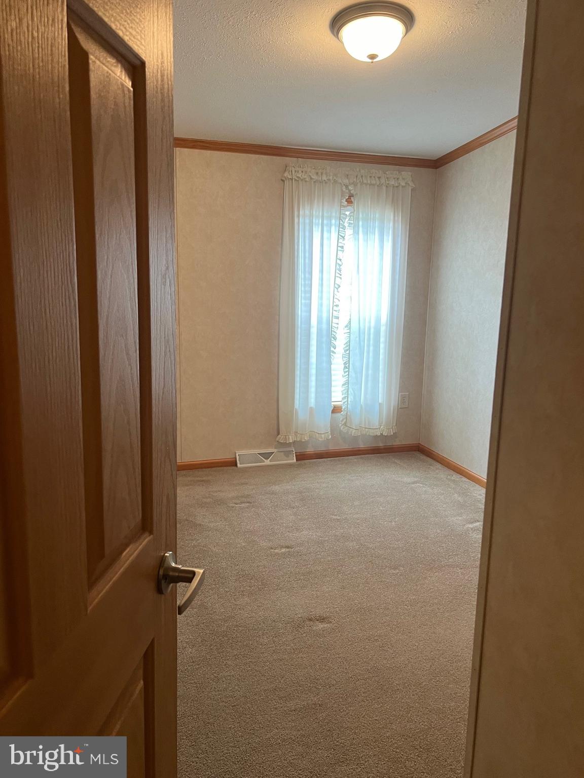 311 Buttonwood