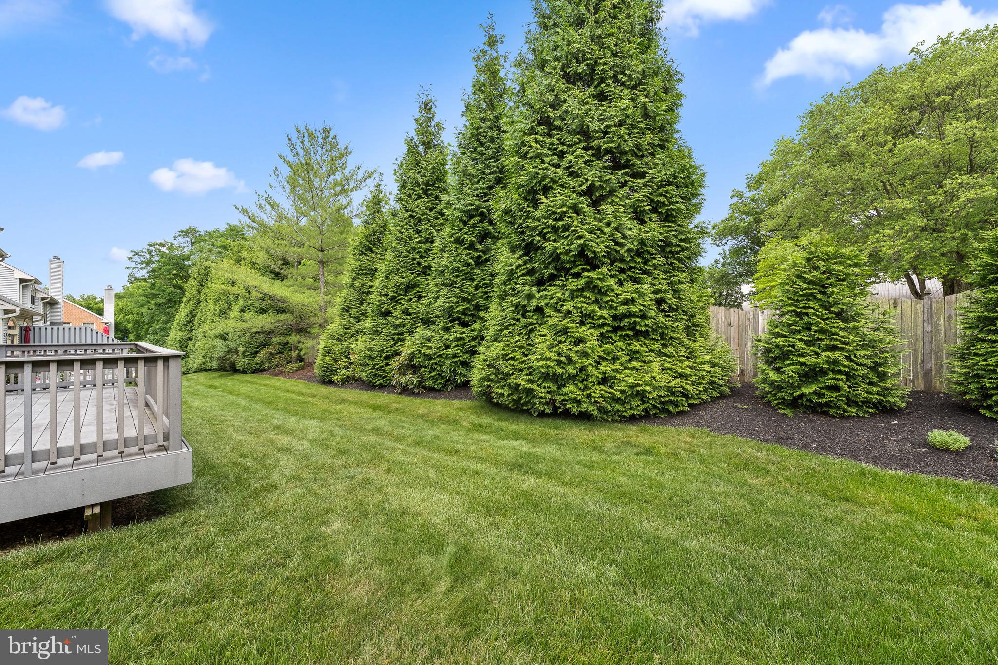 110 Springton Mews Cir