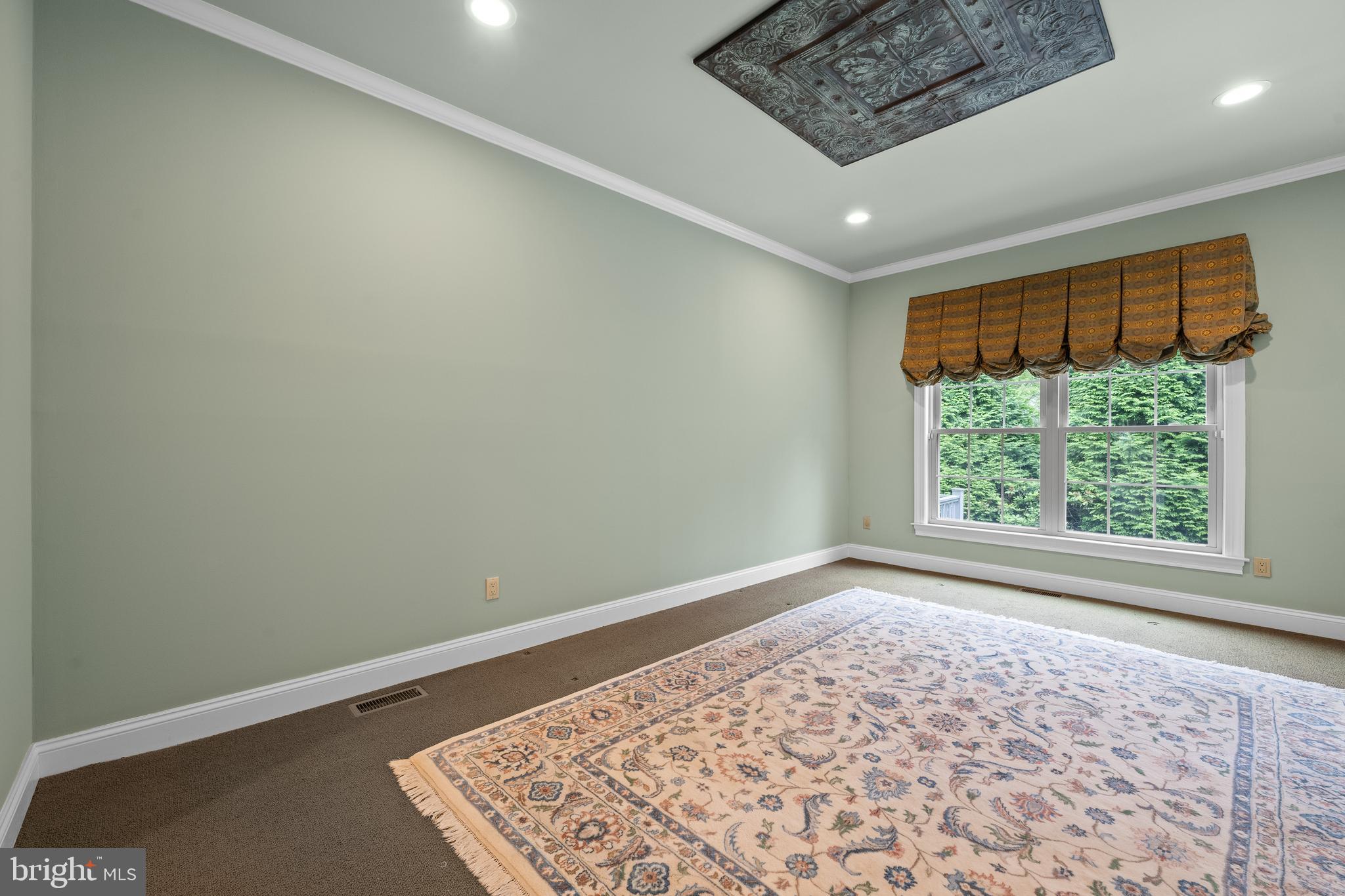 110 Springton Mews Cir