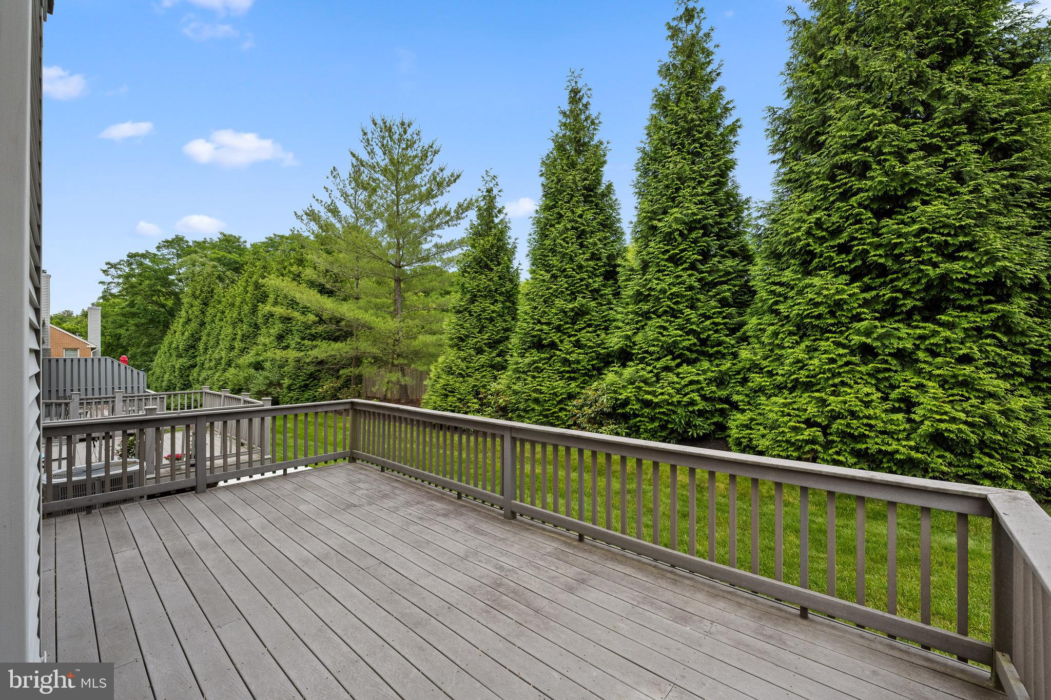 110 Springton Mews Cir