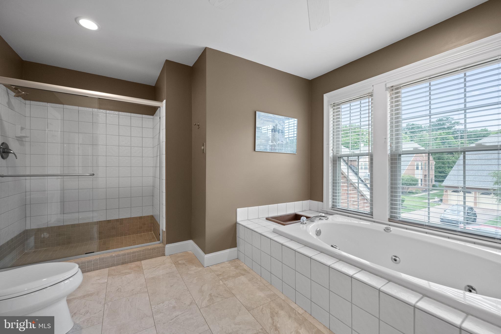 110 Springton Mews Cir