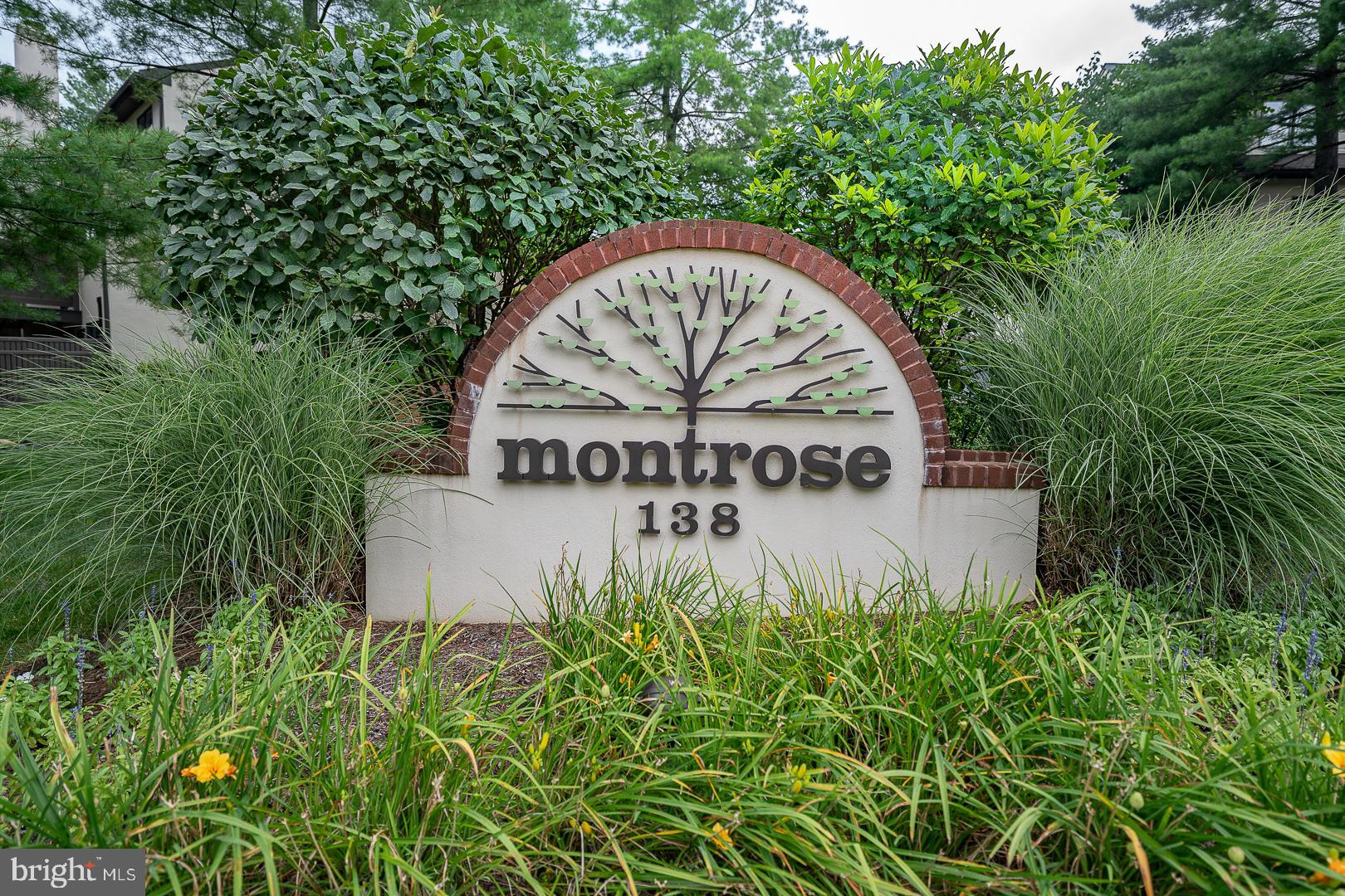 138 Montrose Ave ##41