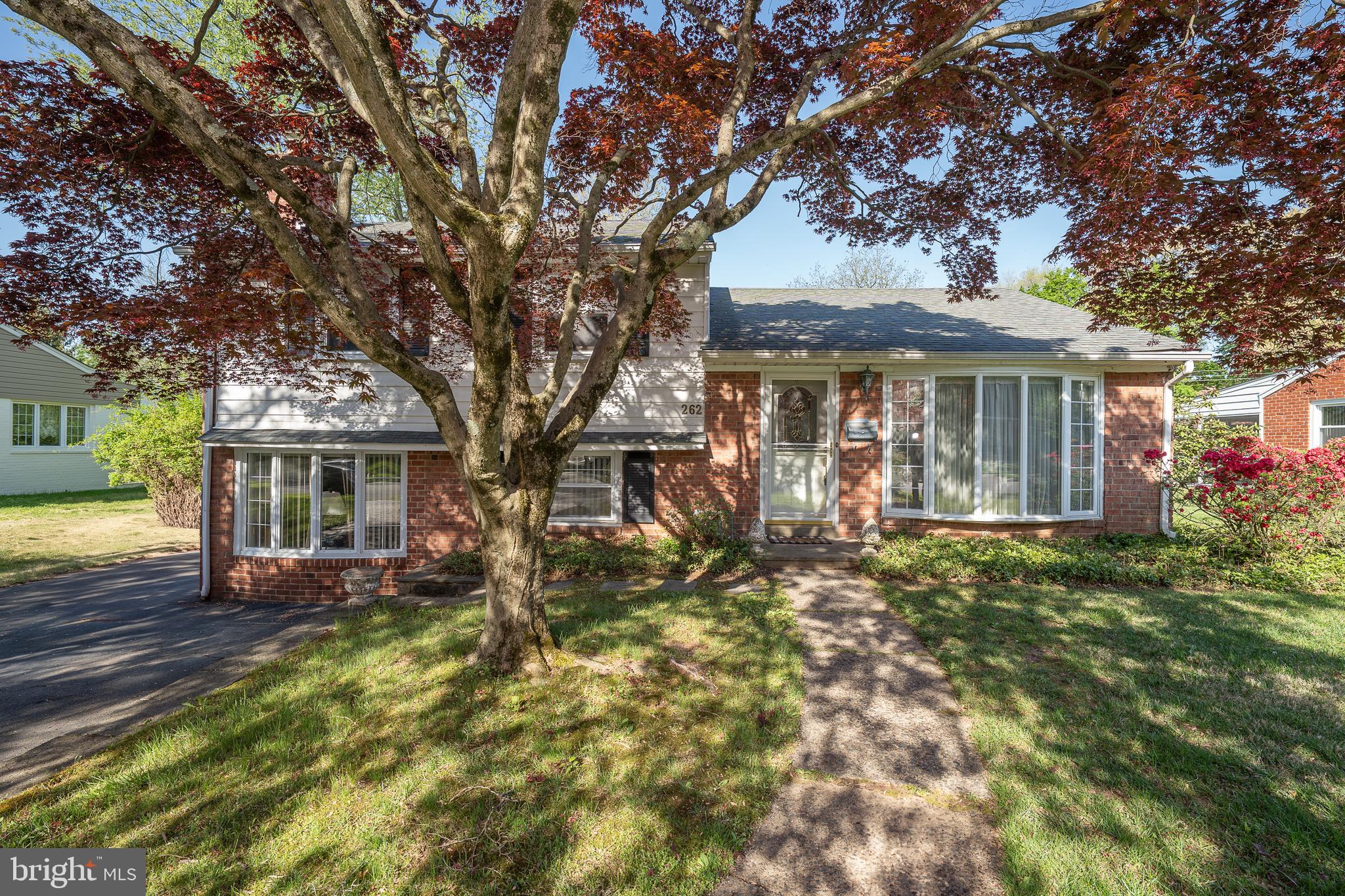 262 Lewis Rd