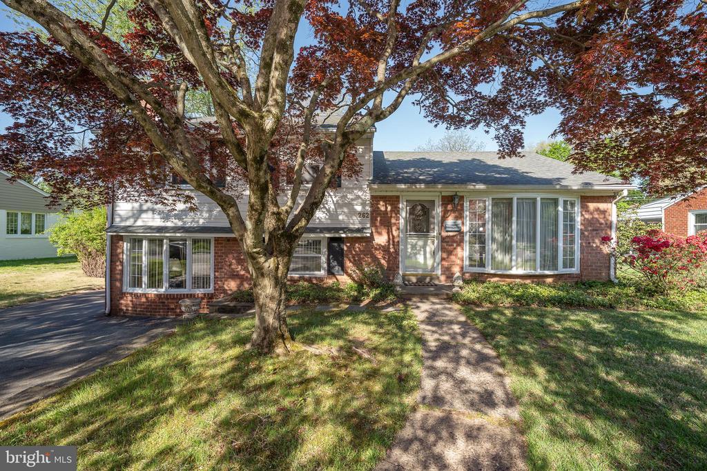 262 Lewis Rd