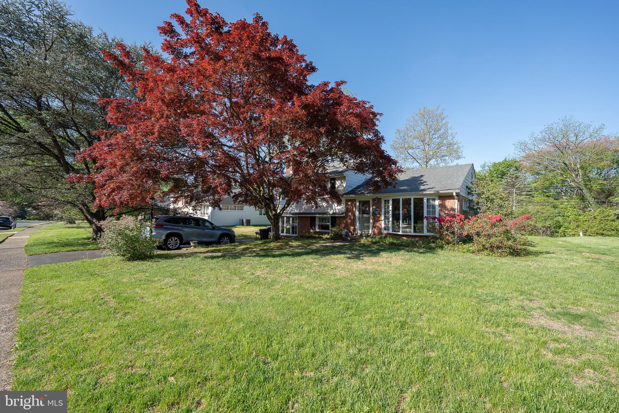 262 Lewis Rd