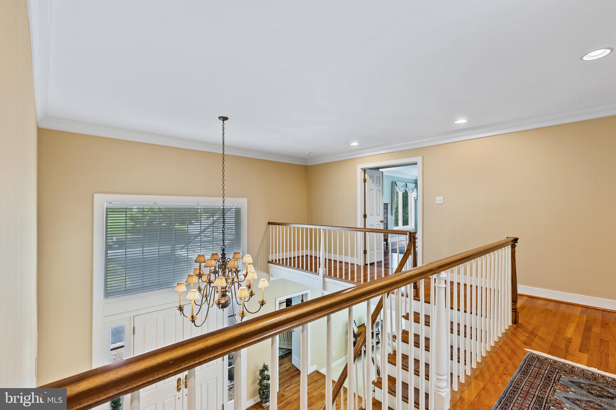 1207 Denbigh Ln