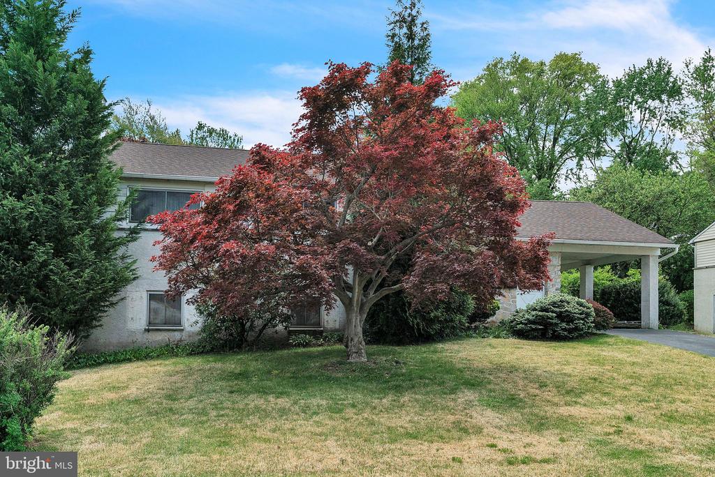 561 Crossfield Rd