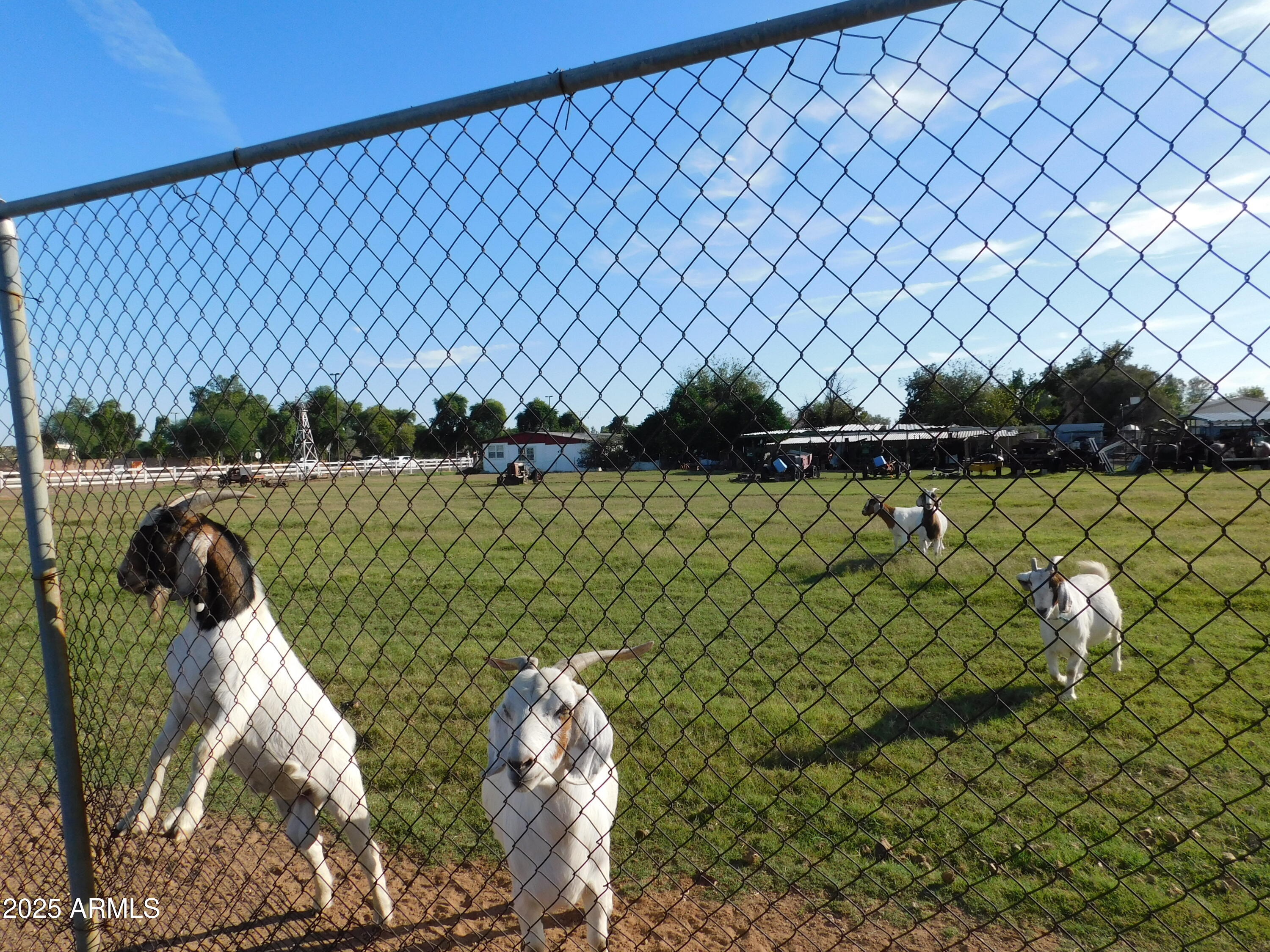 15802 S GILBERT Road, 58, Chandler Unit: 58