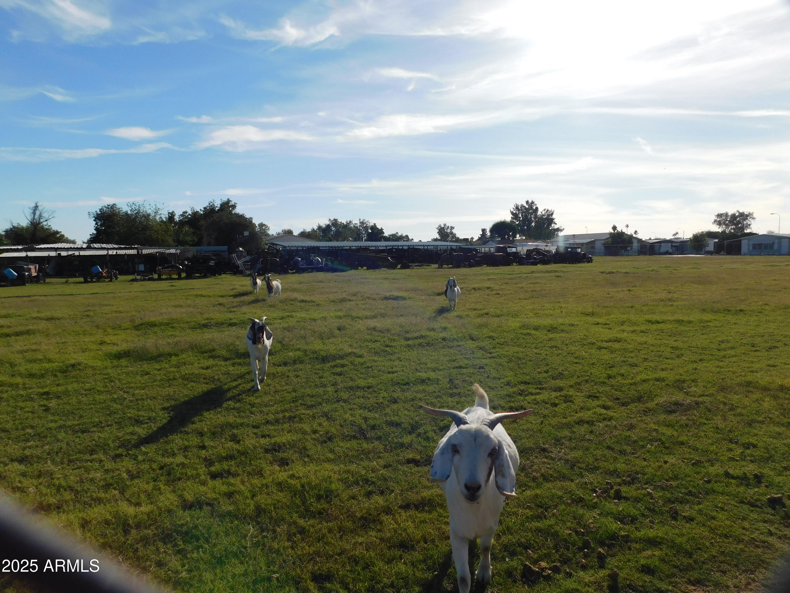 15802 S GILBERT Road, 58, Chandler Unit: 58