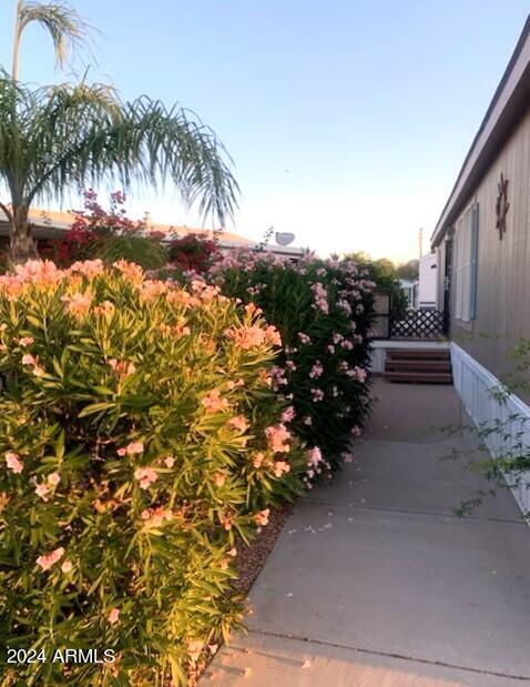 1280 N Ironwood Drive 84