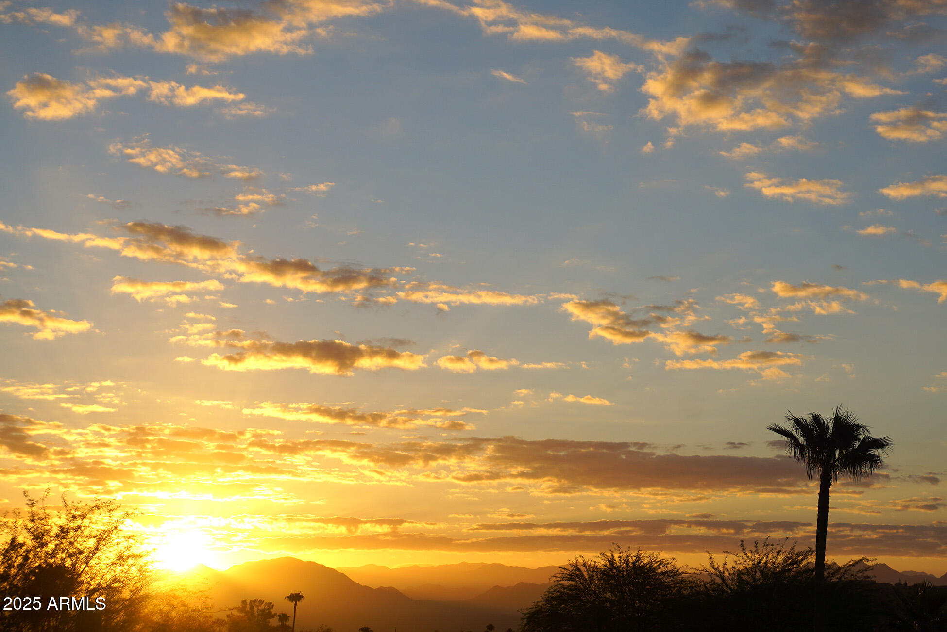 16449 E FAIRLYNN Drive