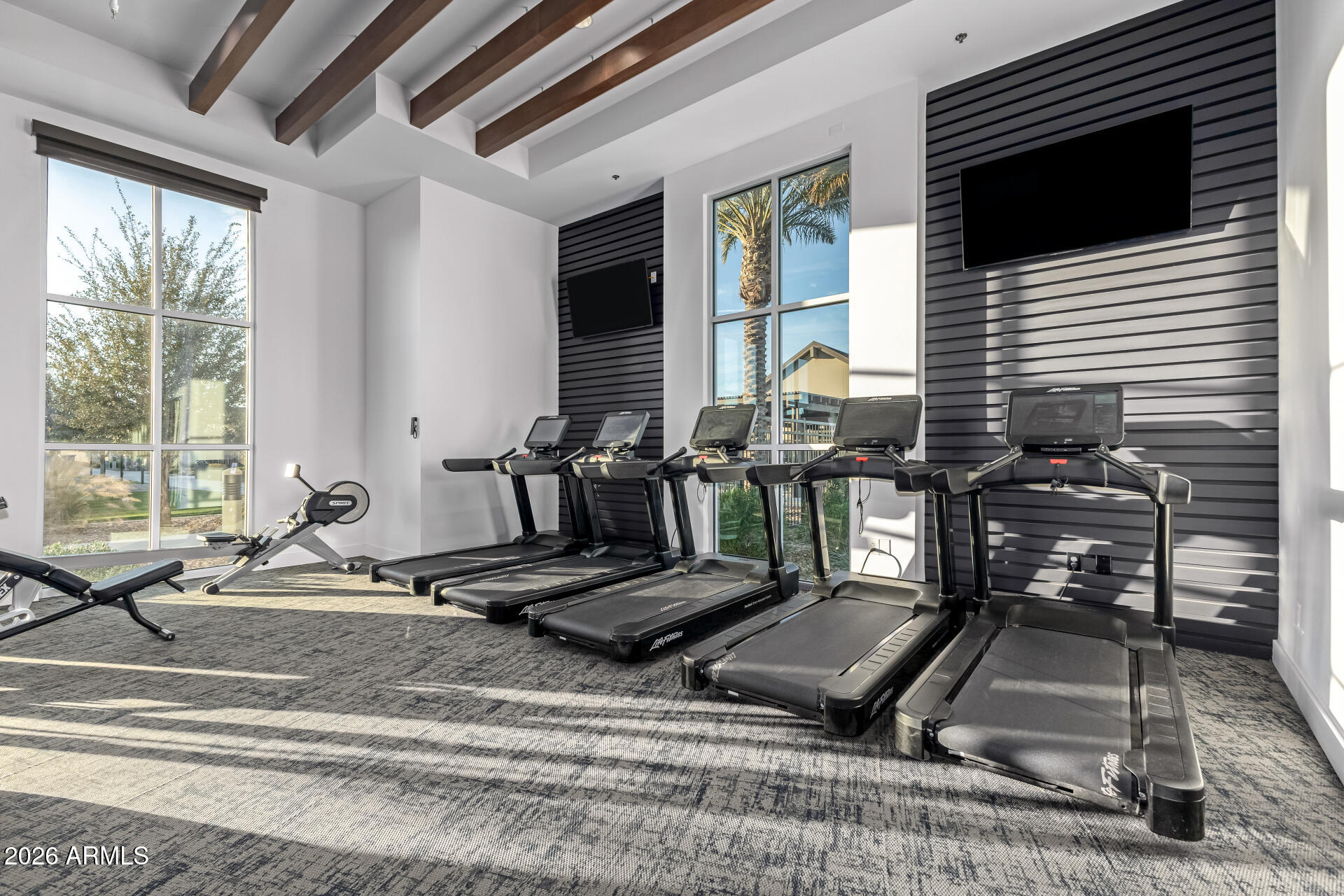 Fitness room with rows of treadmills, tall windows, and a dark slatted accent wall.