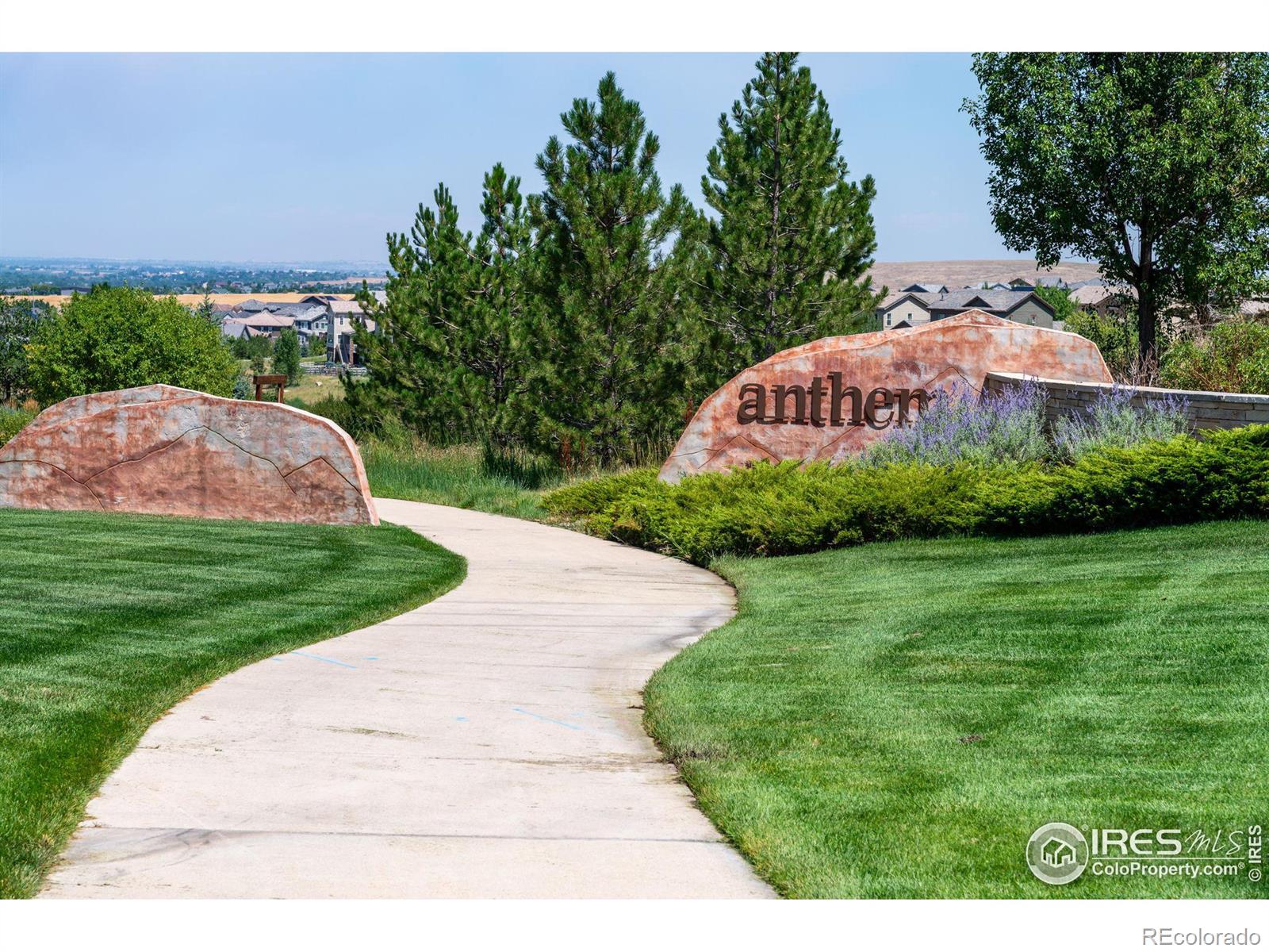 15871 Lavender Place