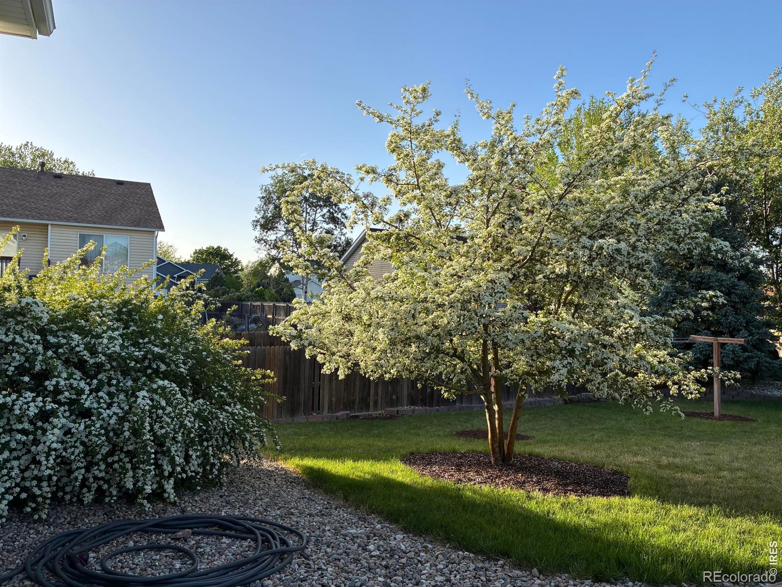 661 Brewer Drive