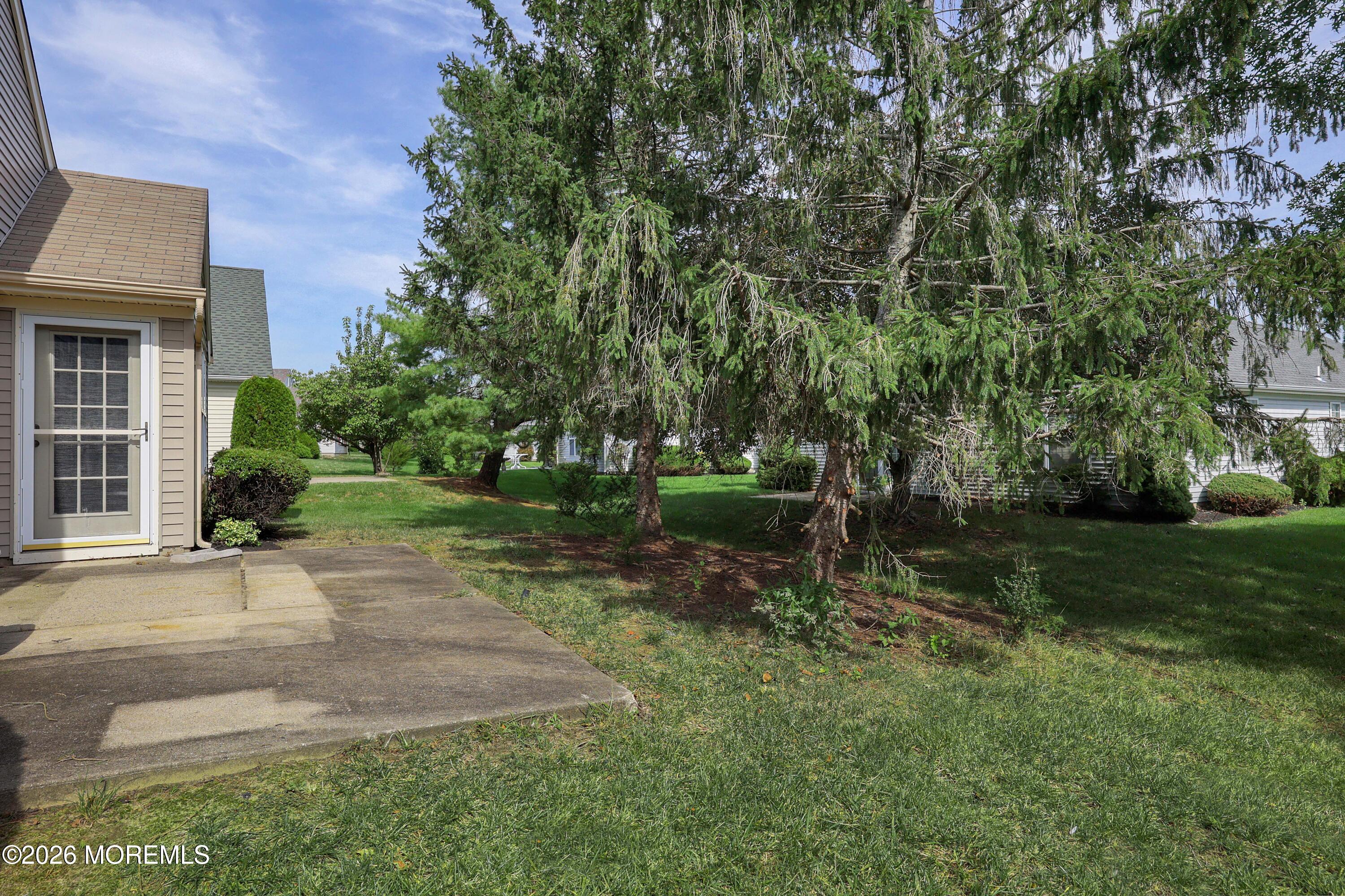 Grassy side yard with a concrete patio beside the house, shaded by mature evergreen trees.