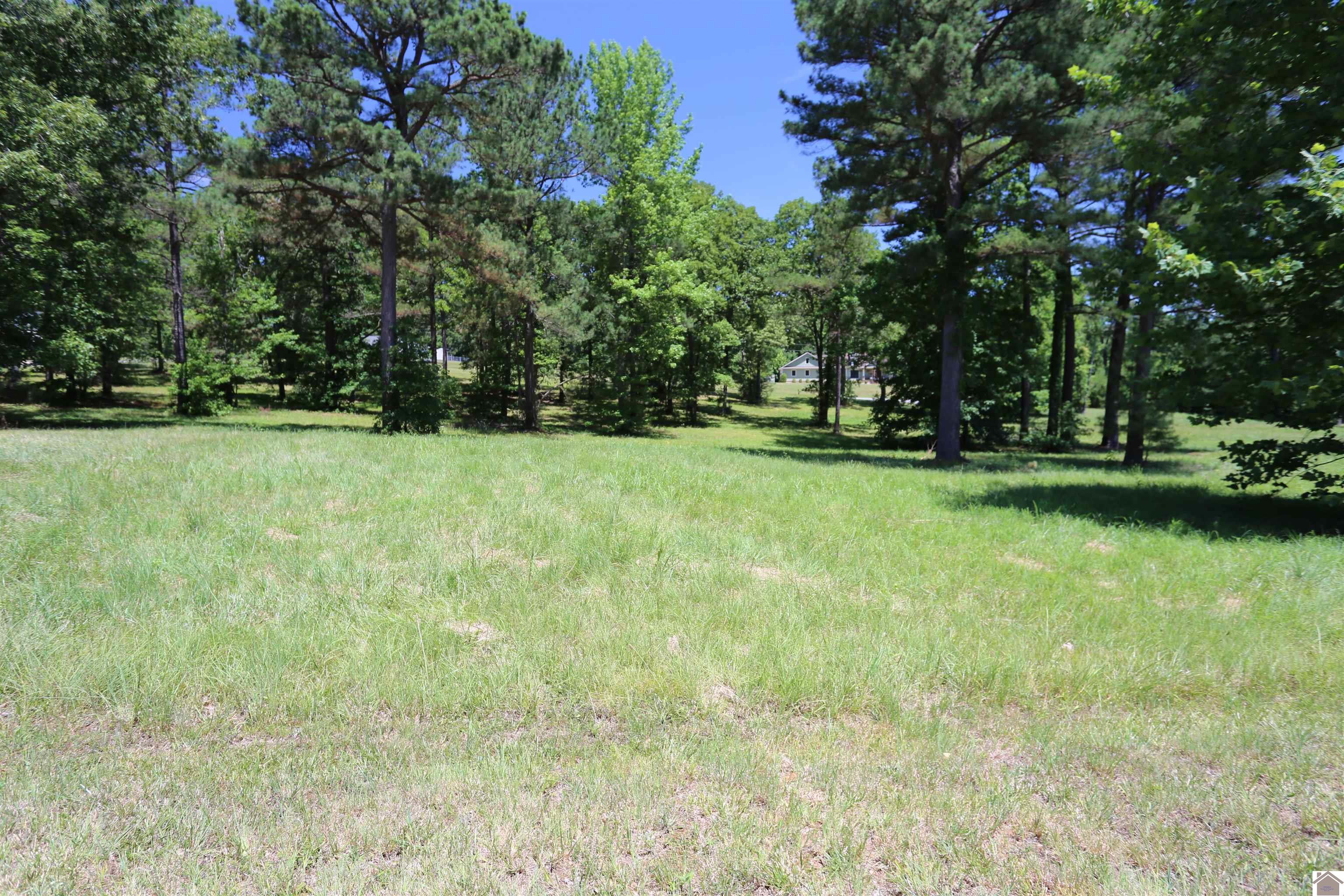 Lot #28 Amber Cole Court