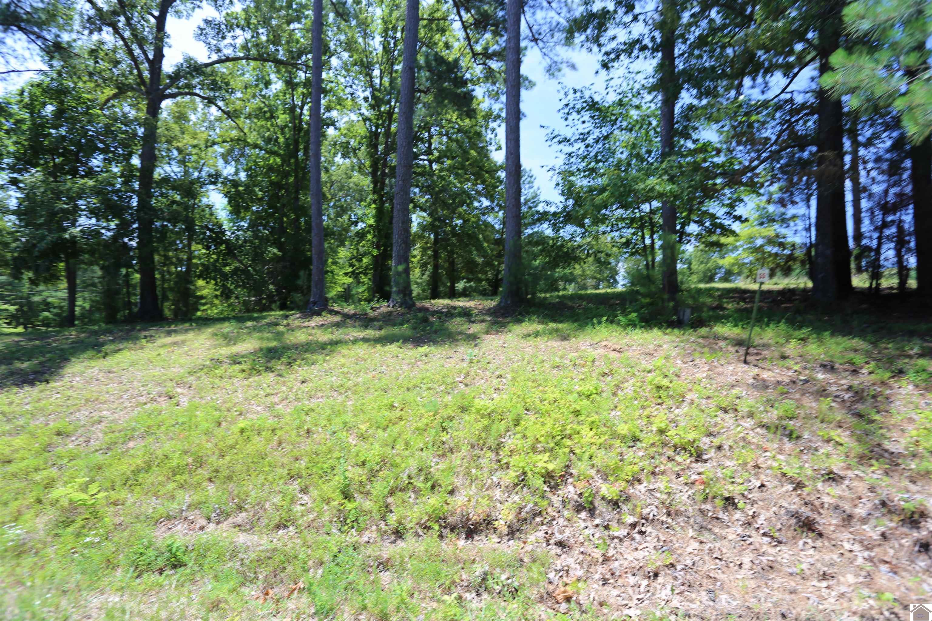 Lot #55 Pine View Drive