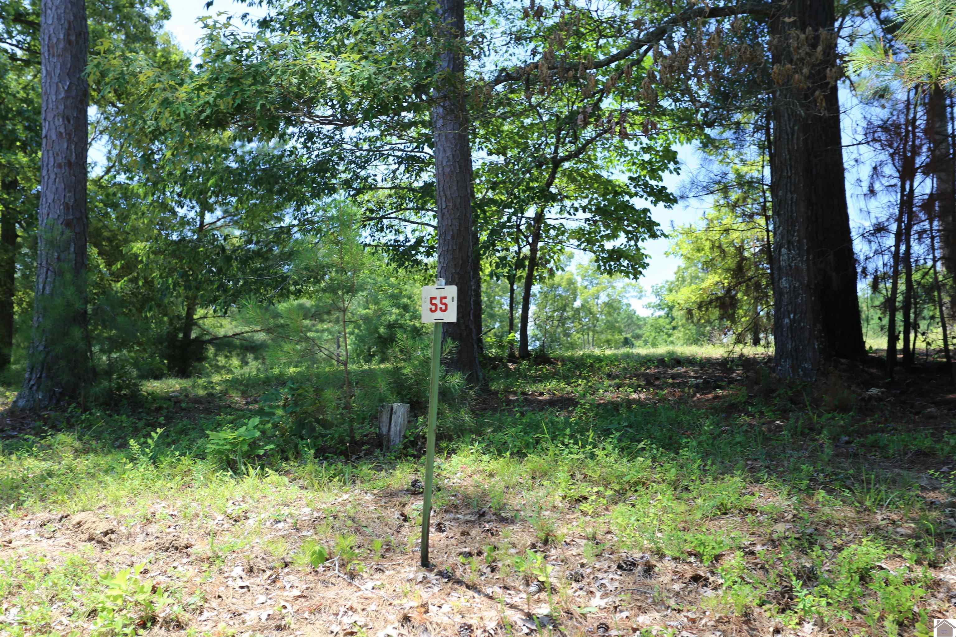 Lot #55 Pine View Drive